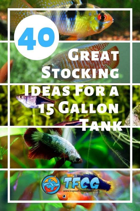 les  meilleures idees de la categorie  gallon aquarium sur pinterest   encore