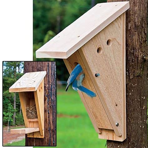 peterson bluebird nest box birding  gardens alive nesting boxes bird houses diy bird