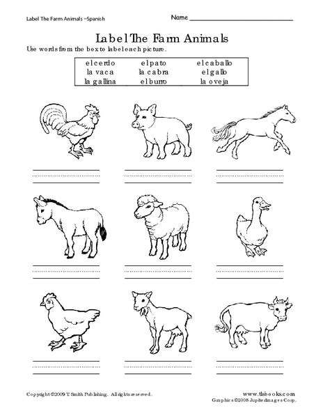 worksheets  farm animal homes worksheet  printable