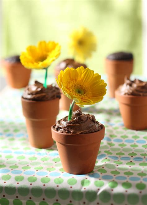 adorable diy chocolate flowerpot cakes relish