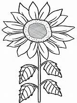 Sunflower Coloring Pages Flowers Sunflowers Printable Rainforest Drawing Adults Kids Van Gogh Flower Kid Timely Getdrawings Tropical Sheet Getcolorings Color sketch template
