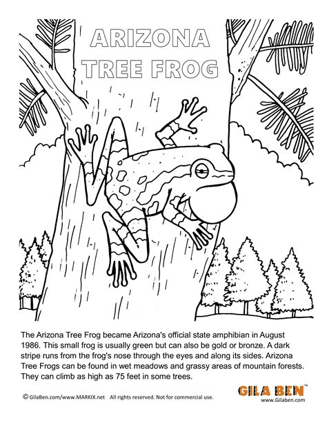 arizona state coloring pages coloring pages