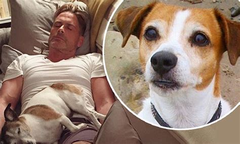 rob lowe and his son john owen bid warm goodbyes to their jack russell