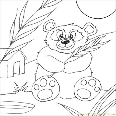 coloring pages panda bear animals bear  printable coloring