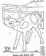 Color Numbers Coloring Pages Calves Number Farm Colouring Calf Baby Easy Follow Activity sketch template