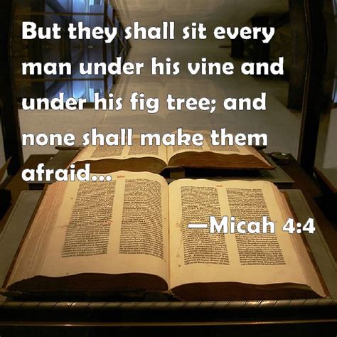 Micah 4 4 Everyone Shall Sit Under Their Own Vine And Fig Tree And No