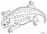 Lizard Coloring Pages Horned Drawing Thorny Devil Outline Printable Draw Cool2bkids Toad Kids Drawings Easy Designlooter Paintingvalley 170px 96kb Choose sketch template