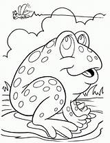 Coloring Frog Pages Print Preschool sketch template