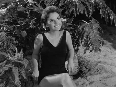 dawn wells hot photos barnorama