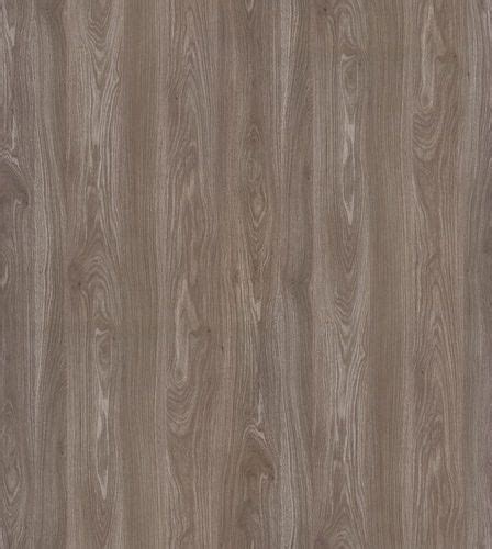 wood gray oak veener  res seamless texture  model