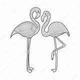 Flamingo Flamant Coloriage Erwachsene Zentangle Flamingos Oiseau Malvorlage Adulte sketch template