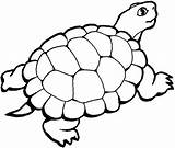 Gratuit Tortue Mewarnai Hewan Darat Sketsa Binatang Tortoise Gambarcoloring Berkaki Kumpulan Clipartmag Amfibi Colorier Empat 1001 sketch template