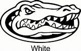 Gators Florida Logo Drawing Gator Silhouette Car Decal Coloring Pages Template Vinyl Sticker Getdrawings Drawings Sketch Paintingvalley sketch template