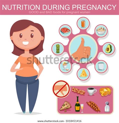 nutrition pregnant women illustration vector cartoon stock