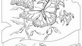 Resources Natural Coloring Pages Getcolorings Getdrawings Color sketch template