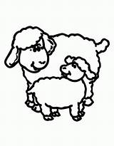 Sheep Lamb Coloring Pages Outline Drawing Lion Clipart Color Clip Realistic Printable Line Getdrawings Cliparts Popular Clipartmag Library Getcolorings Print sketch template
