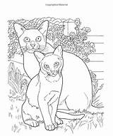Chats Manx Coloring sketch template