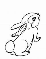 Coloring Pages Bunny Kids sketch template