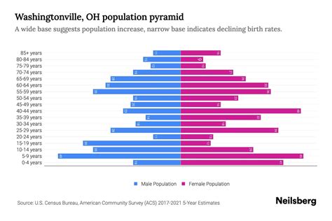 Washingtonville Oh Population By Age 2023 Washingtonville Oh Age