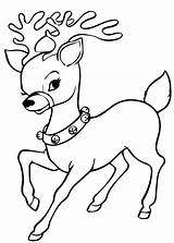 Renne Babbo Reindeer Renna Disegnare Slitta Pianetabambini Stampare Facili Sul Deer Scaricare Ausdrucken sketch template