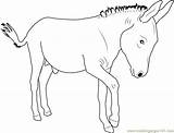 Donkey Coloring Walking Pages Coloringpages101 Printable Color Print Donkeys Pdf sketch template