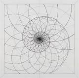 Fibonacci Logarithmic Araujo Geometrie Rafael Venezuelan Heilige Geometrische Goldener Schnitt Meticulously Spirale Brings Fractal Zeichnungen Fastcompany sketch template