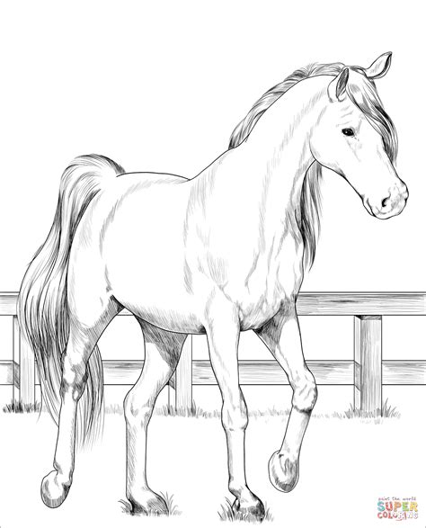 realistic hard horse coloring pages folkscifi