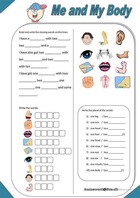 english esl body parts worksheets  downloaded  results