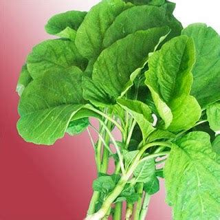 ongrizinal recipe spinach   bayam