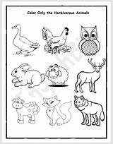 Herbivores Animals Workbook Englishbix Color Reading sketch template