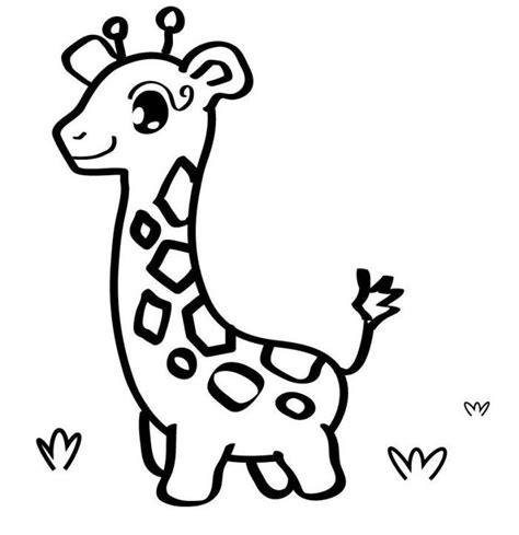 baby giraffe  coloring pages  animals appliques pinterest