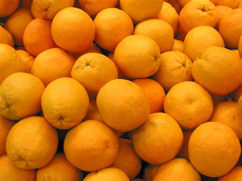 orange photo orange picture oranges image royalty  fruit