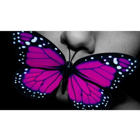 butterfly butterfly unafotoaldia uncursoen flickr