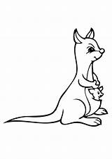 Kangaroo Australien Ausmalbilder Clipartmag Drawing sketch template