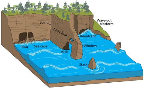 features  coastal erosion