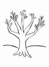 Tree Coloring Pages Color Clipart Kids Trunk sketch template