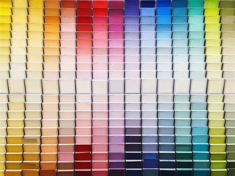choose paint colors   interior