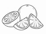 Fruits Kiwi Cabbage sketch template
