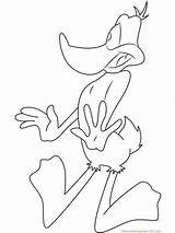 Coloring Duck Pages Daffy Shocks Printable Duffy sketch template
