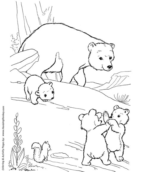 wild animal coloring pages playful bear cubs coloring page  kids