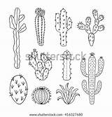 Coloring Template Tumbleweed Cactus Outline Vector Plants Pages Nature Sketch Drawn Hand sketch template