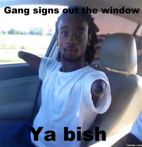 gang signs out the window ya bish whothefuckup