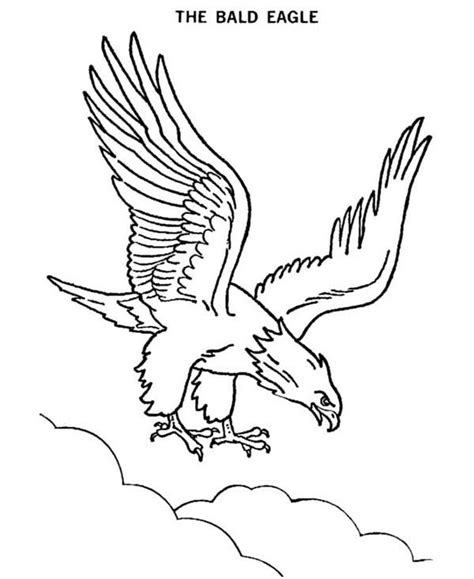 bald eagle coloring page netart