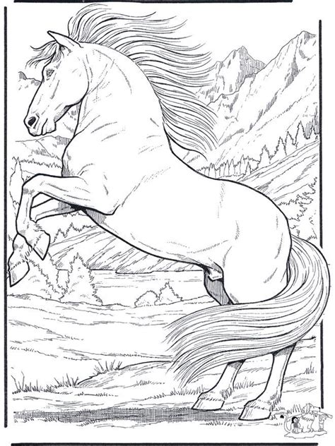 coloring pages  animals realistic forcoloringpagescom art