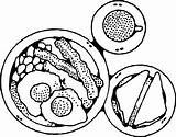 Food Drawing Plate Coloring Pages Healthy Paintingvalley Drawings Foods sketch template