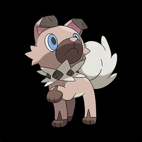 rockruff rockruff pokemon pokemon pokemon sun