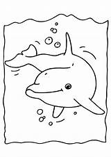 Dolphin Coloring Printable Pages Large sketch template