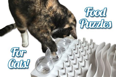 Food Puzzles For Cats Good For Mind And Body Feline Behavior