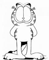 Garfield Cartoons sketch template