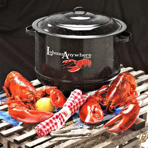 buy lobster cooking pot classic pot  boil steam  lobster